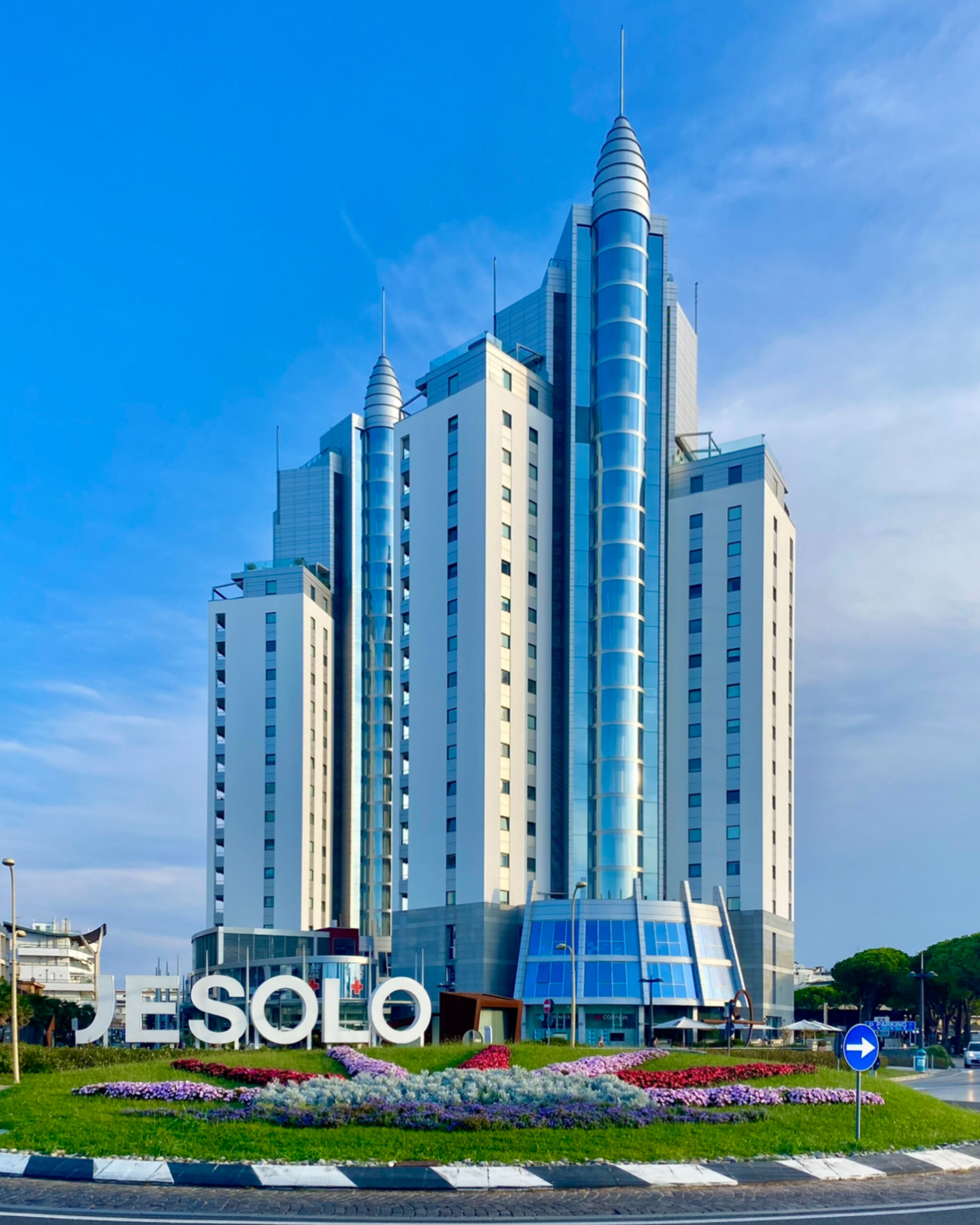 Chi Sono Elisabetta Musazzi 1